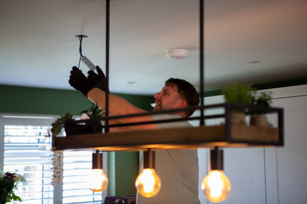 Best Electric Panel Repair  in Buchanan, GA